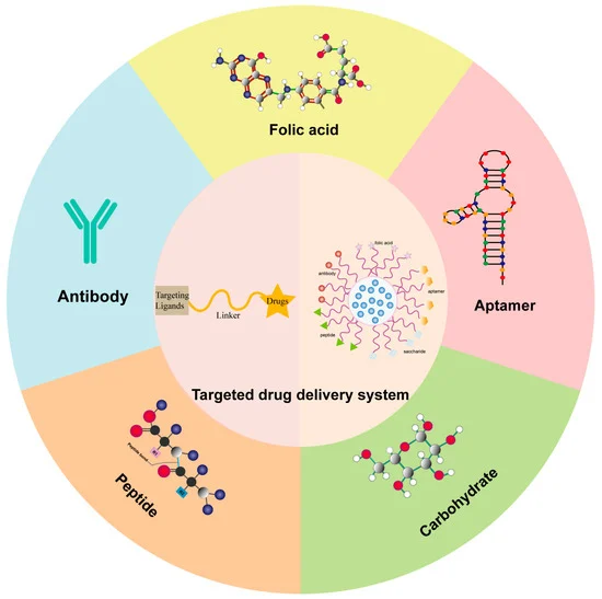 Discover how metabolic pathways can revolutionize drug delivery, enhancing efficacy and safety for innovative healthcare solutions.